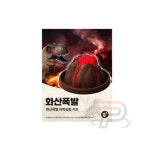 파샵 화산분출 실험세트 교구 화학교구 : 공공마트