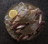 신기한꽃게장 간장게장 국내산 연평도 알배기 암꽃게 : 신기한 꽃게장