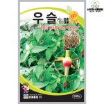 우슬 500립 / 약초식물 씨앗 종자 텃밭키우기 주말농장 : 신세계식물병원