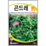 곤드레 1g / 토종 씨앗 종자 텃밭키우기 주말농장 토속종자 : 신세계식물병원