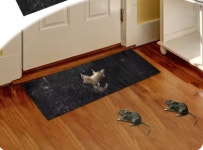 쥐잡이 끈끈이 해충 퇴치 쥐 덪 다용도 해충 트랩 (A0138) : 용천삼리