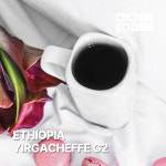 에티오피아 예가체프 G2 235g 커피원두 당일로스팅 : 미친커피