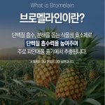 고함량 프리미엄 브로멜라인 퀘르세틴 케르세틴 파인애플 파파인 bromelain : 요다이스요
