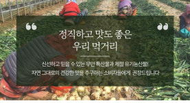 유기농산물꾸러미 : 트리플영농조합법인