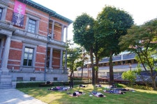 아룬다티 1:1 온라인 명상 세션 호흡·몸감각 기반 요가명상 : 아룬다티