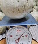 손질단호박 1kg 토종단호박 상리단호박 친환경무농약 산지직송 슬라이스 국내산 : 용담베리