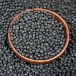 직접 재배한 국산 햇콩 쥐눈이콩 약콩 검은콩 1kg : 오번리 탁구네농장