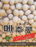 2024년 햇콩 햇메주콩 햇백태 백태 농장온 국산 토종메주콩 재래메주콩 두부콩 1kg : 농장온