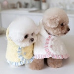 강아지 망토 스트라이프 케이프 봉제 따뜻한 겨울 작은 동물 애완 테디 담요 크리스마 양면 Blue S 50cmx50cm : bbo직구나라