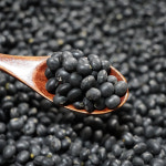 직접 재배한 국산 햇콩 서리태 검은콩 1kg : 오번리 탁구네농장