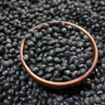 직접 재배한 국산 햇콩 서리태 검은콩 1kg : 오번리 탁구네농장