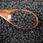 직접 재배한 국산 햇콩 쥐눈이콩 약콩 검은콩 1kg : 오번리 탁구네농장