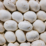 산지직송 부여 양송이버섯 못난이/슬라이스 2kg : 파인밀