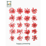 체크스토리 압화 말린꽃 누름꽃 압화공예 레진아트 레이스플라워 화이트(자연) : 체크스토리