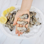 다이버수산 산지직송 통영 석화 깐 생굴 1kg : 다이버수산