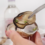 경상도수산 산지직송 홍가리비2kg 석화3kg 세트 굴찜 조개구이 : 경상도수산