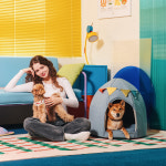 개과천선 스쿼시 애견 강아지 집 하우스 고양이 : 개과천선스토어