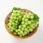 샤인머스켓 노은청과 프리미엄 최고급 샤인머스켓 1kg 대 무료배송 납품용 : Business Store