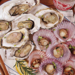 경상도수산 산지직송 홍가리비2kg 석화3kg 세트 굴찜 조개구이 : 경상도수산