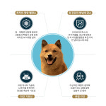 도그랑 진도 골드 10kg x 2개 애견 강아지 사료 : 젤리펫샵
