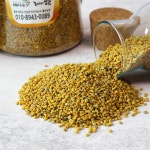 꿀벌 화분 500g, 1개 : 뜰안농장