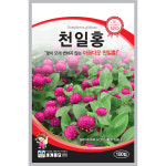 천일홍 (100립) / 꽃 씨앗 / 꽃 종자 : 신농농약사
