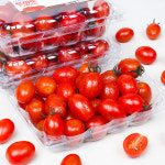 산지직송 국내산 스테비아 대추 방울토마토 샤인마토 토마토 500g : 강신선