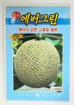 얼스 에버그린 100립 뿌리가 강하고 품질이 우수한 하계용 멜론 씨앗 럭키종묘 : 정산흥농종묘농약사