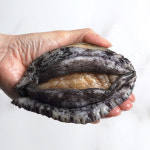 완도 특대 활전복 1kg 산지직송 선물세트 6미부터 : 바다는 다 웰빙이다