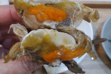 암꽃게장 2kg 덜짠 짜지않은 알베기 암꽃게장 간장게장 맛있는 밥도둑 : 주식회사 땅콩마켓
