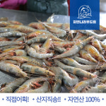 자연산 대하 새우 급냉 암 숫 왕새우 1kg 2kg 5kg 국내 태안 : - 자연나라푸드림 -
