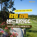 [2025년 6월] 강원 강릉 샌드파인 골프패키지 : 골프몬 고대리