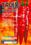 TR대풍 고추 1,200립 중조생종 극대과종 탄저병 칼라병 바이러스 복합... 터널재배 가능한 아주 매운맛 고추 씨앗 제농S&T : 정산흥농종묘농약사