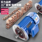 전동기 삼상 구리 3상 비동기 모터 380V 완전 단상유도전동기 삼상모터 속도조절 37 3상0.37KW-4극/1400회전/14축 : 젤블몰