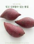 여주 고구마 꿀고구마 밤고구마 호박고구마 소담미 고구마5kg : 논두렁밭두렁상회