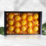 당도선별 서귀포 한라봉 레드향 천혜향 황금향  1kg 2kg 3kg 가정용 선물세트 : 베리카인드