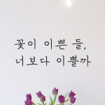 감성 손글씨 레터링 스티커 꽃이 이쁜 들 너보다 이쁠까 검정S : 어썸투데이