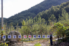 문경 부사  5KG : 문경청화농원