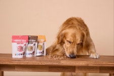 퍼펙트바이츠 강아지간식 애견간식 강아지다이어트간식 펫푸드 강아지노즈워크간식 100g : 벤지앤레아