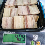 100% 자연산 풀치 손질 생선 갈치 400g : 엘 이레