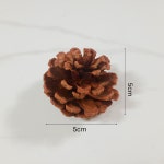 솔방울 5cm 크리스마스 리스 트리 장식 소품 : 라탄스토리