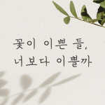 감성 손글씨 레터링 스티커 꽃이 이쁜 들 너보다 이쁠까 검정S : 모노먼트