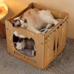 릴레스타 고양이 해먹 숨숨집 동굴 텐트 캣타워 고양이 집 하우스 대형 : 릴레스타