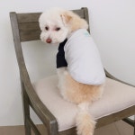 푸딩 래글런 티셔츠 (Navy) : 푸푸하우스