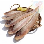 DDH 반건조 박대 5미 대 박대생선 생선반찬 : 망리단길