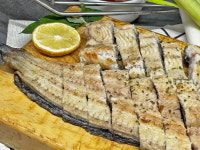 초벌 고창 풍천 장어 1kg : 수산물 사장님