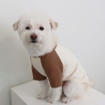 푸딩 래글런 티셔츠(Brown) : 푸푸하우스