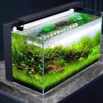 수조 백필터 어항 나항 청소 일체형 30 환수 열대어 블랙 자동청소 MOREDAM 필터링+어항등+선물 자동청소어항 물갈이 1 미니 1 30 블랙 백필터... 