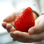 고당도 킹스베리 딸기 당도선별 설향 금실 비타베리 산지직송 : 어디든 과일