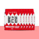 개님의패드 강아지 배변패드 무향 고흡수 대용량 알뜰형, 100매입, 6개 : 개님의상점